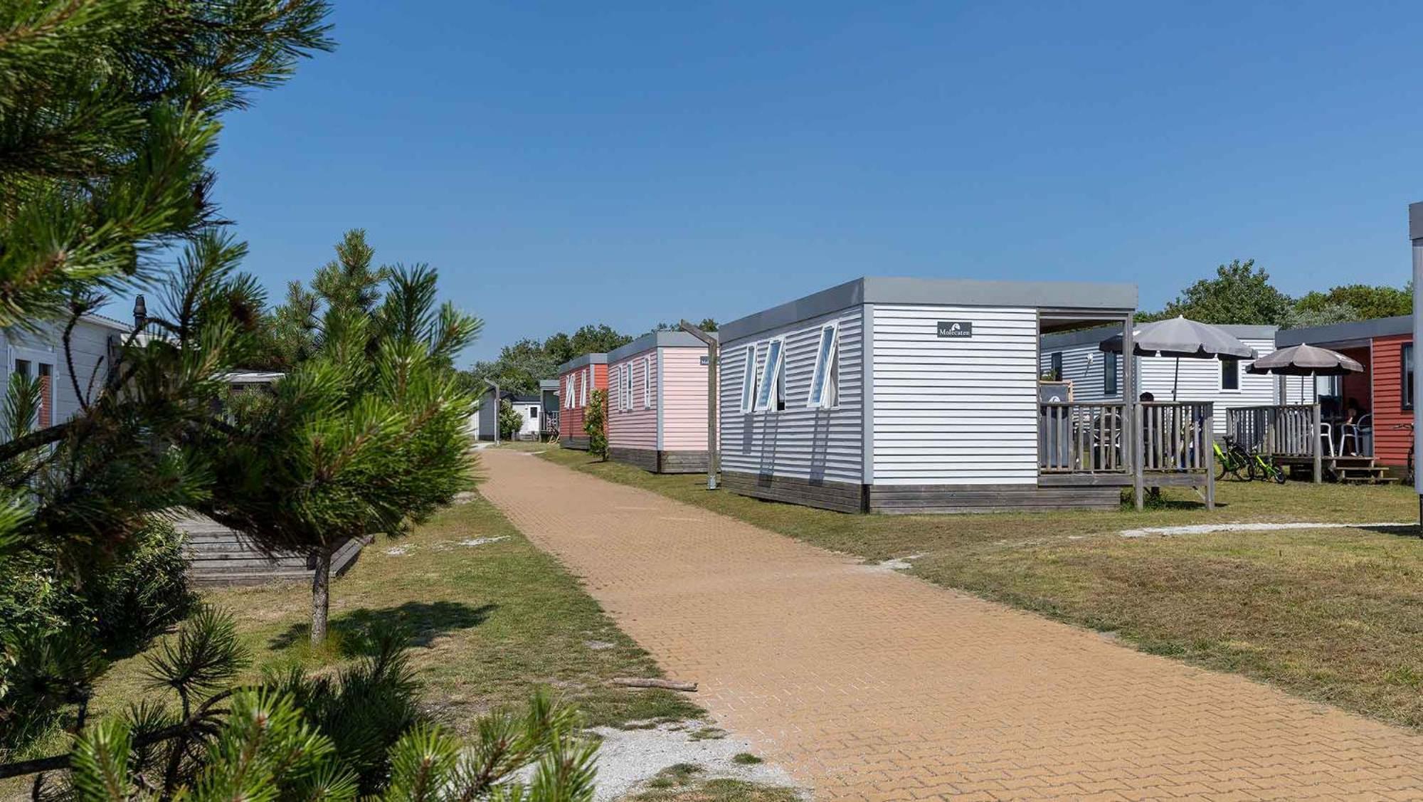 Molecaten Park Noordduinen Katwijk aan Zee Room photo